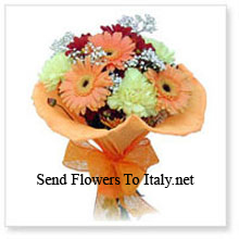 Cute Bunch Of 11 Gerberas Delivered in Italy