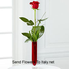 A Single Red Rose In A Red Test Tube Vase Delivered in Italy