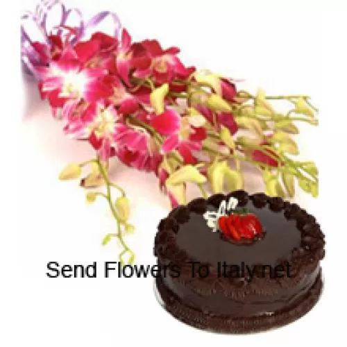 Bündel rosa Orchideen mit saisonalen Füllstoffen sowie 1 Pfund (1/2 kg) Schokoladentrüffelkuchen